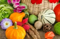 Zagadka Vegetables and flowers