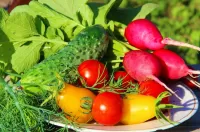 Bulmaca Vegetables and greens