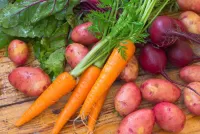 Quebra-cabeça Vegetables root vegetables