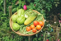 Jigsaw Puzzle Wicker vegetables