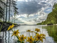 Слагалица Lake and flowers