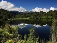 Bulmaca Lake forest beauty