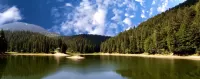パズル Lake Synevyr