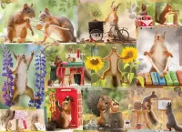 Jigsaw Puzzle Naughty squirrels