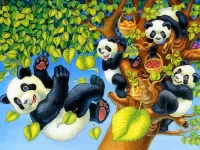 Bulmaca Playful pandas