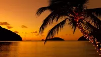 Rompecabezas Palm tree at sunset