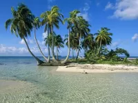 パズル Palm island