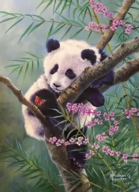 Zagadka Panda on a branch