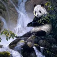 Bulmaca Panda at the waterfall