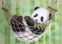 Rätsel Panda v gamake