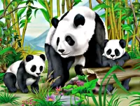 Slagalica pandas