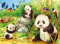 Puzzle pandas and bamboo