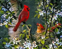 Jigsaw Puzzle Pair of cardinals