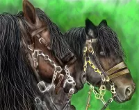 Quebra-cabeça A pair of horses