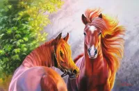 Jigsaw Puzzle A pair of horses