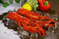 Jigsaw Puzzle Pair of lobsters