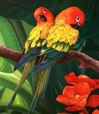パズル A pair of parrots