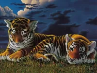 Quebra-cabeça A pair of tiger cubs