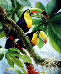 Jigsaw Puzzle Pair of toucans