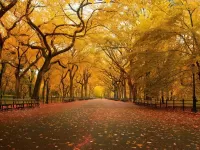 Rompecabezas Autumn park