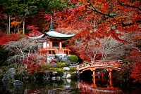 Rätsel Park in Kyoto