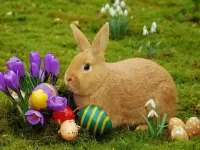 Bulmaca Easter