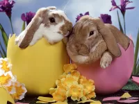 Слагалица Easter rabbits