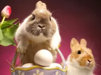 Rompecabezas Easter rabbits