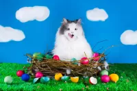 Jigsaw Puzzle Easter cat