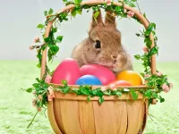 Slagalica The Easter Bunny