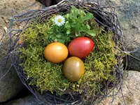 Rätsel Easter nest
