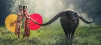 Пазл Пастушки и буйвол