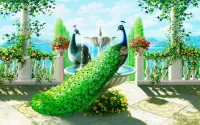 パズル Peacocks on the terrace