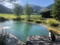 Rompicapo Landscape in Austria