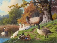 Jigsaw Puzzle Landscape with birds