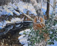 Puzzle Landscape with an owl