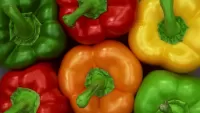 パズル pepper