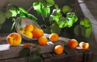 Quebra-cabeça Peaches and apricots