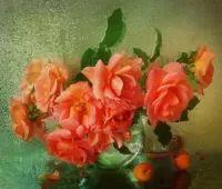 Zagadka Peach colour