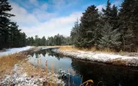 Jigsaw Puzzle First snow