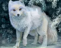 Slagalica Arctic fox