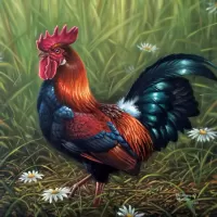 Jigsaw Puzzle Rooster