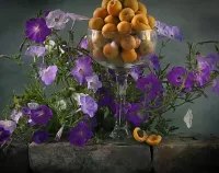 Quebra-cabeça Petunia and apricots