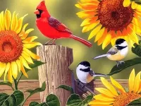Puzzle Singing birds