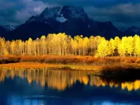 Jigsaw Puzzle Blue and yellow landscape