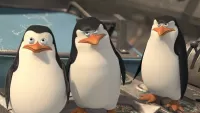 Пазл Пингвины