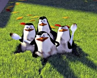 Rompecabezas Penguins
