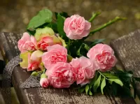 Bulmaca Peonies and roses