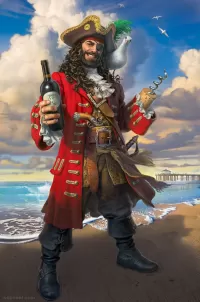 Пазл Пират