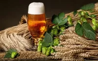 パズル Beer and hops